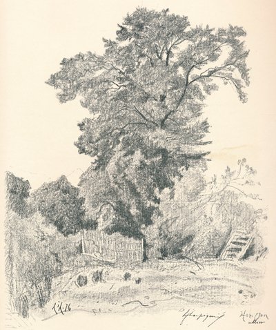 Study of Trees, c1839-1898, 1898 av Henri Joseph Harpignies