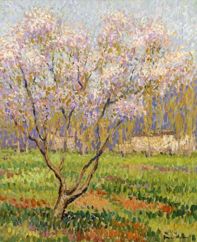 Epletre i blomst; Epleblomster, av Henri Martin