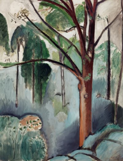  av Henri Matisse