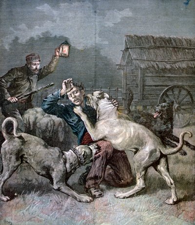 En kriminell angrepet av tre store hunder, 1891 av Henri Meyer