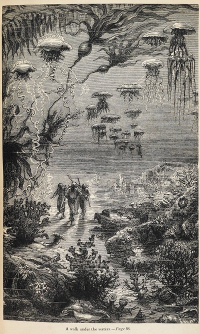 Illustrasjon for '20 000 Leagues under the Seas' skrevet av Jules Verne av Henri Theophile Hildibrand