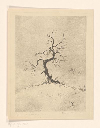 Lonely Tree (original tittel på objekt) av Henri Verstijnen (signed by artist)
