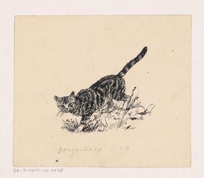 Katt av Henri Verstijnen