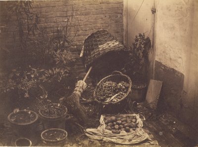  av Henri Victor Regnault