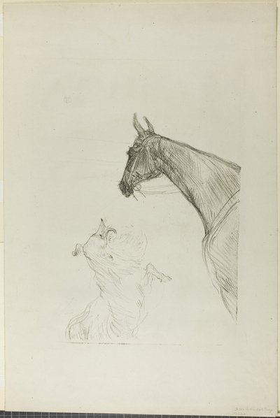 Pferd und Collie von Henri de Toulouse-Lautrec