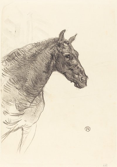 Altes Pferd Le vieux cheval, 1897 von Henri de Toulouse Lautrec