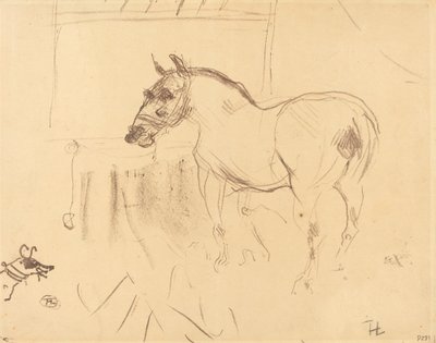 Das kleine Pony von Calmese von Henri de Toulouse Lautrec