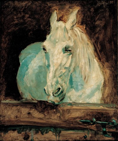 Das weiße Pferd Gazelle, 1881 von Henri de Toulouse Lautrec