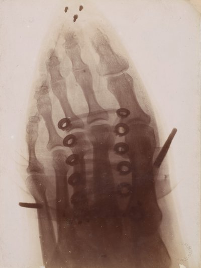 Foten gjennom skoen, 1896. av Henri van Heurck