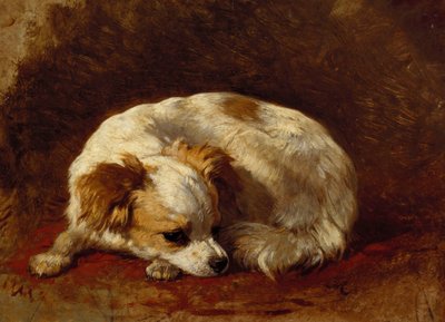 En sommerfugl av Henriëtte Ronner Knip