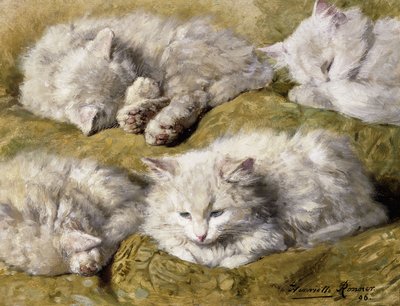 Studier av en langhåret hvit katt, 1896 av Henriëtte Ronner Knip