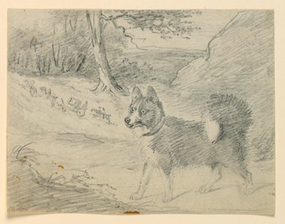 Studie av en elghund av Henry Bernard Chalon