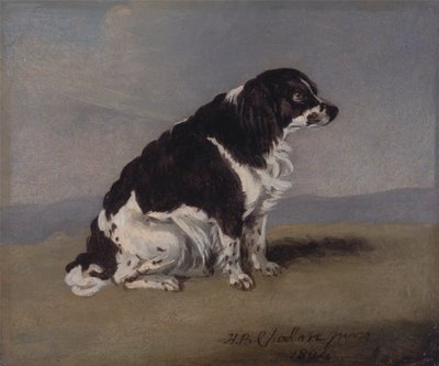 Hertuginnen av Yorks spaniel av Henry Bernard Chalon