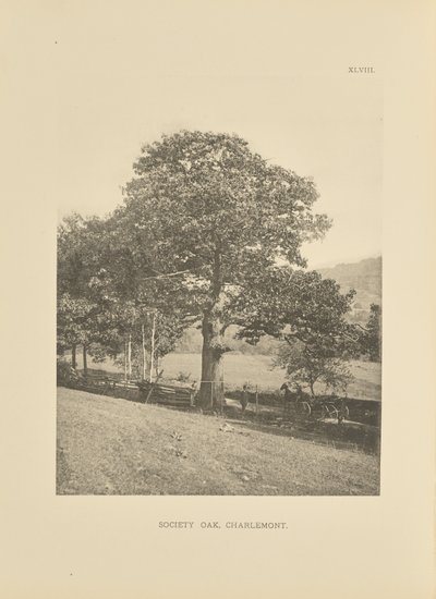  av Henry Brooks