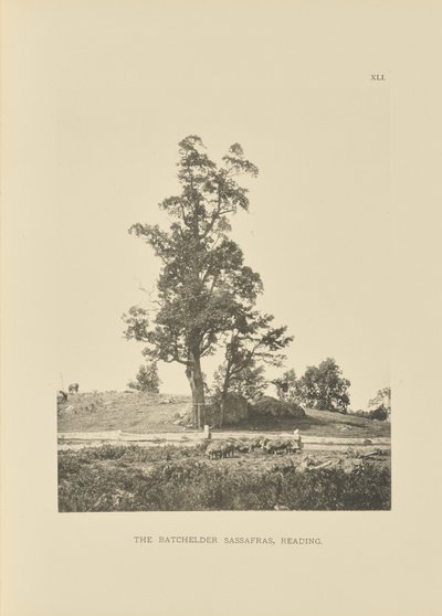  av Henry Brooks