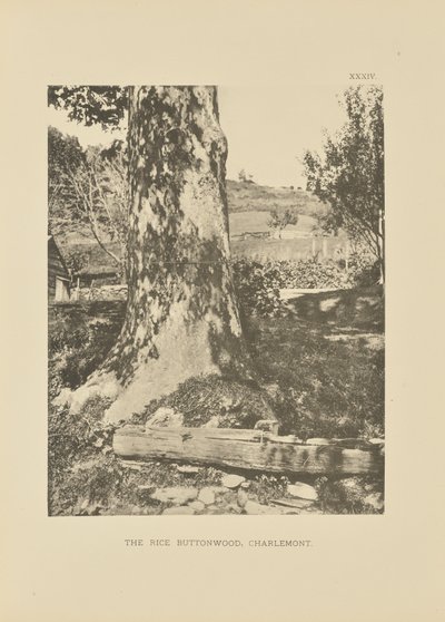  av Henry Brooks