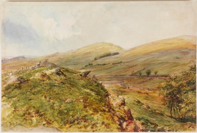 Cockmount Hill (kroppsfarge) av Henry Burdon Richardson