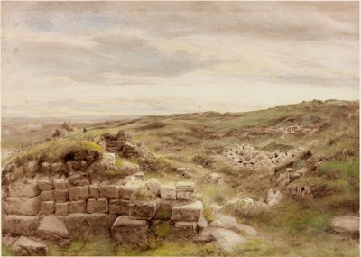 Husmannsplasser (kroppsfarge) av Henry Burdon Richardson