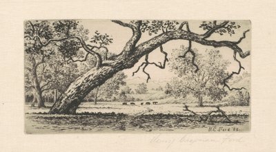 California landskap av Henry Chapman Ford