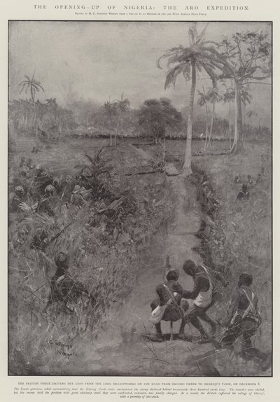 Åpningen av Nigeria, Aro-ekspedisjonen av Henry Charles Seppings Wright