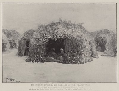 Somaliland-ekspedisjonen, sykehuset i Las Durie, isolasjonsavdelinger av Henry Charles Seppings Wright