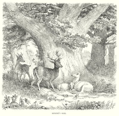 De muntre konene fra Windsor (gravering) av Henry Courtney (after) Selous