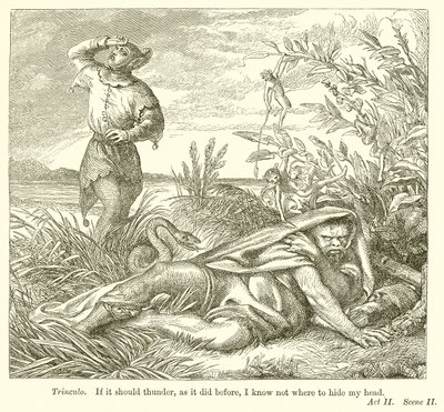 Stormen av Henry Courtney Selous