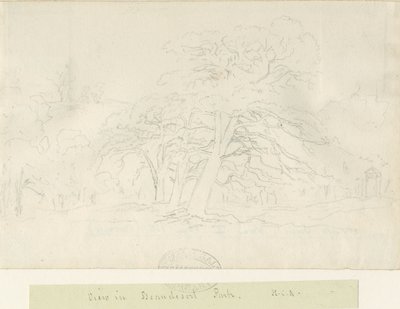 Beaudesert Park: blyanttegning, nd [1788-1855] av Henry Curzon Allport