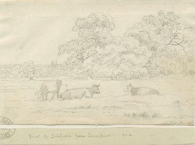 Lichfield - Utsikt fra Aldershaw av Henry Curzon Allport
