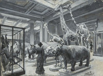 Innvendig visning av British Museum som viser galleriet som inneholder dyreutstillinger, ca. 1880 av Henry Edward Tidmarsh
