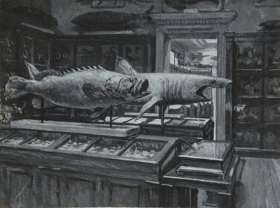 Innvendig visning av British Museum som viser galleriet med fiskeutstillinger, ca. 1880 (vask og kroppsfarge på papir) av Henry Edward Tidmarsh