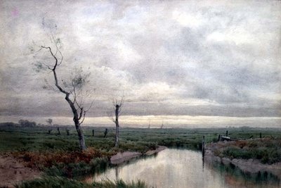 Coastal Marshlands (akvarell) av Henry Farrer