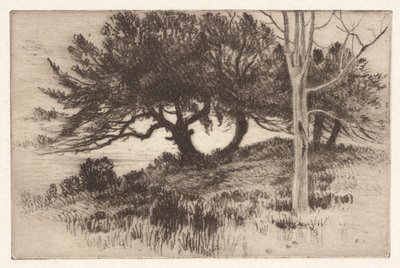 Nær sjøen av Henry Farrer