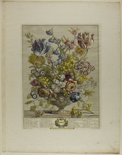 april, fra Twelve Months of Flowers av Henry Fletcher