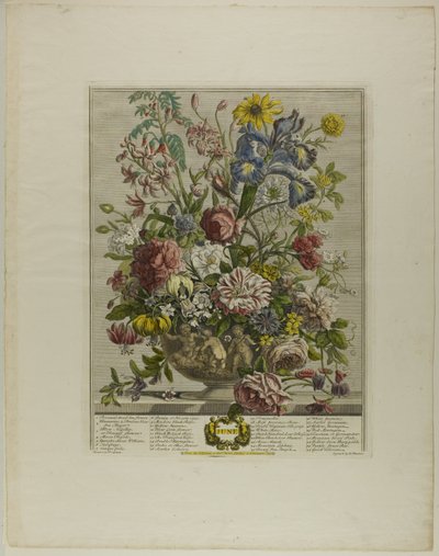 juni, fra Tolv måneder med blomster av Henry Fletcher