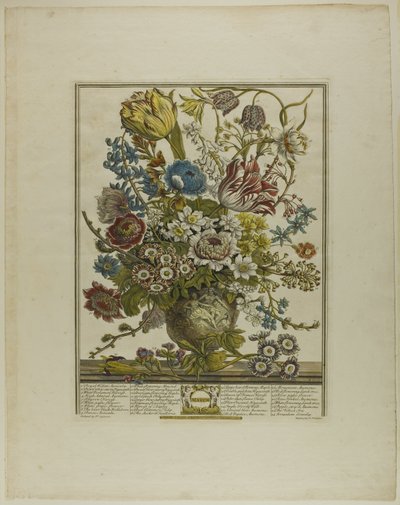 mars, fra Twelve Months of Flowers av Henry Fletcher