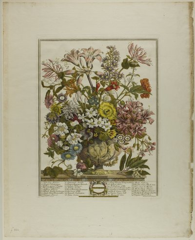oktober, fra Tolv måneder med blomster av Henry Fletcher