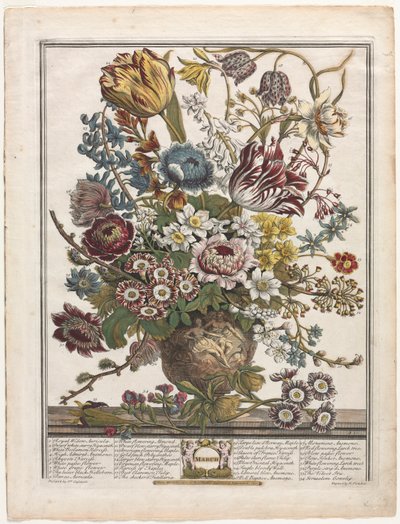 Tolv måneder med blomster: mars av Henry Fletcher
