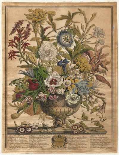 Twelve Months of Flowers: September, 1730.    1136229   no       norwegian Successfully Translated  Original: Merced River, Yosemite, ca. 1872, printed ca. 1876. Translat: Merced River, Yosemite, ca. 1872, printed ca. 1876. 1142036 no norwegian Successfull av Henry Fletcher