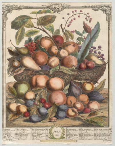 Tolv måneder med frukt: juli 1732. av Henry Fletcher