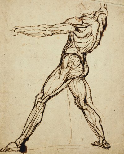 Et nakenkast, av Johann Heinrich Füssli