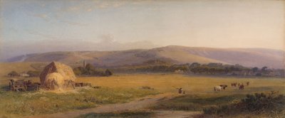 South Downs Pastures, 1867 av Henry George Hine