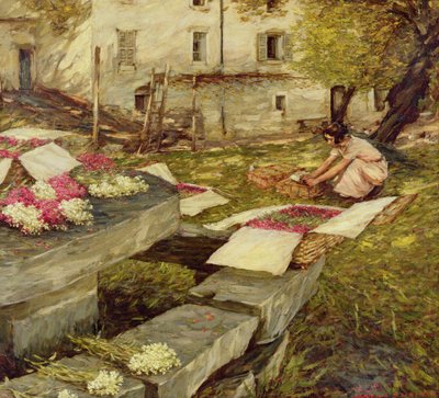 Plukke aksjer av Henry Herbert La Thangue