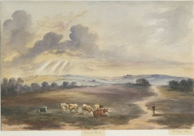 Cannock Chase - "Heath": vannfargemaleri, 1844 av Henry James Noyes
