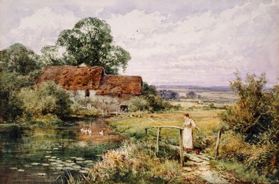 Ser på Ducks av Henry John Sylvester Stannard
