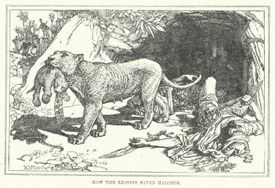 Hvordan løvinnen reddet Malchus (litho) av Henry Justice Ford