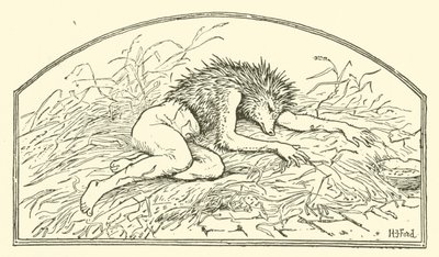 Jack my Hedgehog (gravering) av Henry Justice Ford