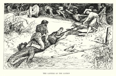 Erobringen av Caymanøyene (gravering) av Henry Justice Ford