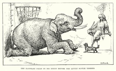  av Henry Justice Ford