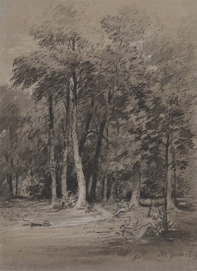 Et skogkledd spor av Henry Monro